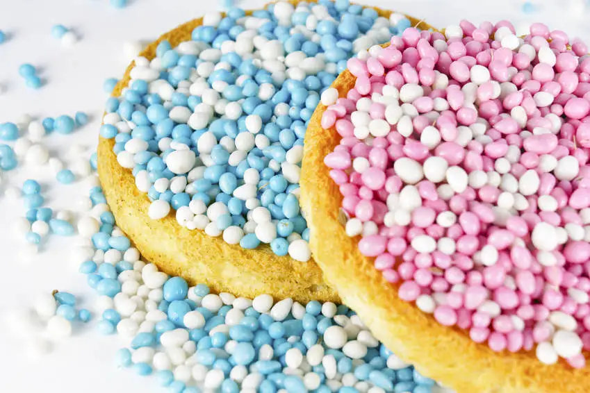 Beschuit met Muisjes