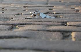 De Verloren Sleutels