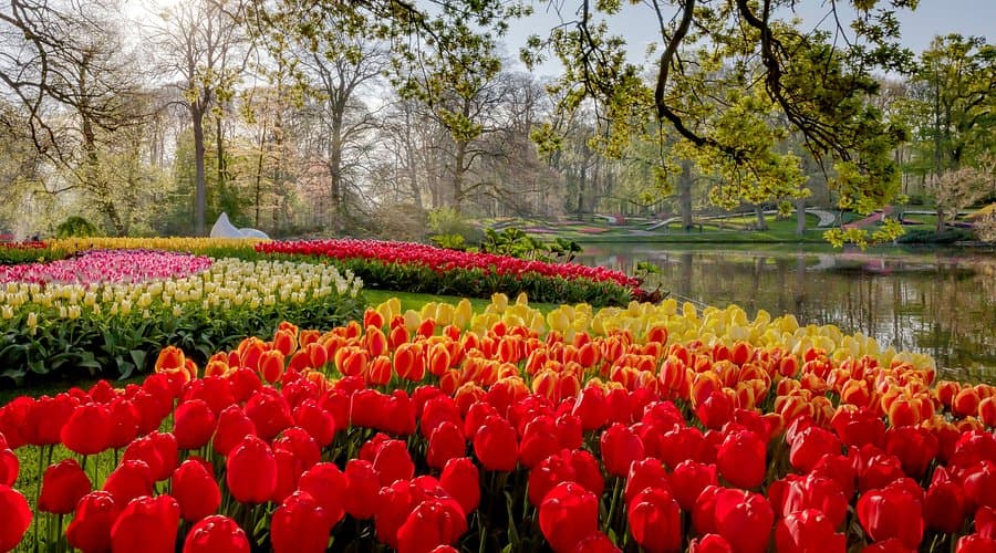 Een Dagje naar de Keukenhof