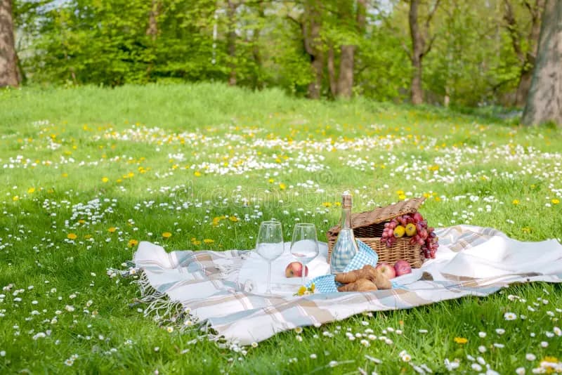 Een Picknick in het Bos