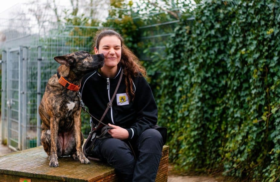 Vrijwilligerswerk bij de Dierenopvang